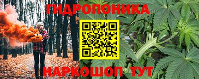 МДПВ Кингисепп