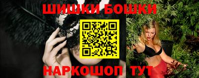 МДПВ Кингисепп